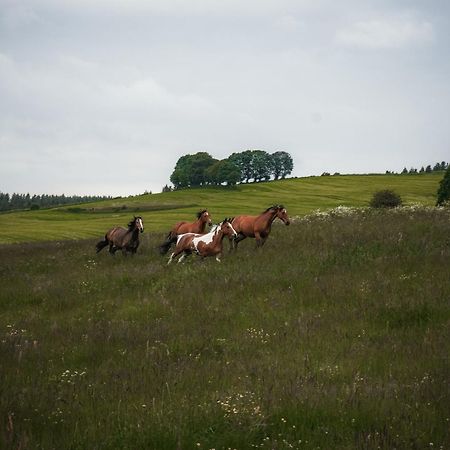 Wohlfuehl-Ferienhaus Eifel-Landurlaub Mit Herz クローネンブルク エクステリア 写真